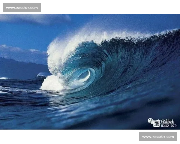 晨雾与羽翅：鸟里的早安启示